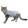 ROUPA-POS-CIRURG-GATO-BUSTER-27-5CM-XXXP-UNIDADE