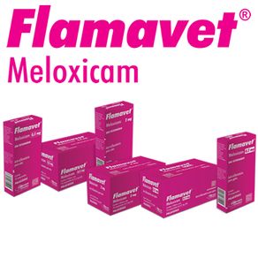 FLAMAVET-GATOS-0-2MG-X-10-UNIDADE